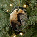Search for grizzly bears christmas tree decorations Hunting