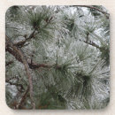 Search for seasonal coasters Snow