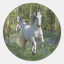 Search for bluebell stickers Fantasy