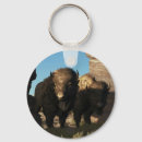 Search for buffalo key rings Wild west