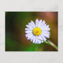 Search for common postcards Nature