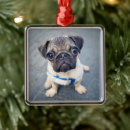 Search for pug decor Puppy