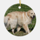 Search for flat coated retriever christmas tree decorations Bob and pam langrish