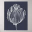 Search for monochrome posters Florals