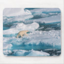 Search for iceberg electronics Arctic