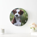 Search for collie clocks Puppy