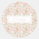 Search for peach flower stickers Watercolor