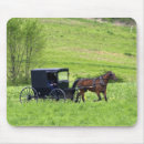 Search for amish electronics Buggy