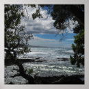 Search for through posters Seascape