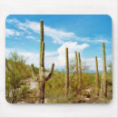 Search for cactus mousepads Landscape