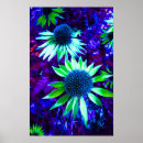 Search for echinacea posters Purple