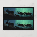 Search for caribe postcards Tundra