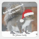 Search for christmas squirrel stickers Funny
