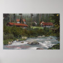 Search for shasta art View