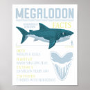 Search for megalodon posters Fish