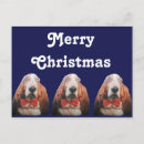 Search for hound dog christmas cards Dogs