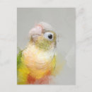 Search for conurs postcards Cute