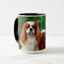 Search for dog breeders mugs Puppies