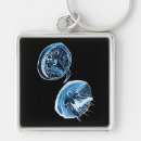 Search for jellyfish key rings Beach