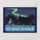 Search for road runner postcards Humour