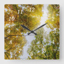 Search for sugar maple Leaves