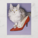 Search for attributed postcards Character