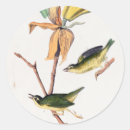 Search for bird illustration stickers Wildlife