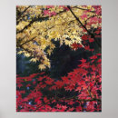 Search for fall foliage posters Change