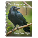 Search for raven notebooks Nature