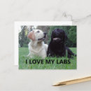 Search for funny dog picture postcards Pet