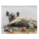 Search for hyaena Laughing
