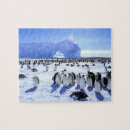 Search for antarctica puzzles Sea