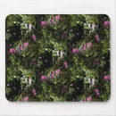 Search for sweet pea electronics Pink