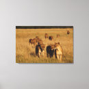 Search for botswana canvas prints Horizontal