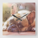 Search for french bulldog clocks Animals