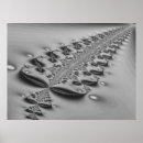 Search for kiwi art Fern