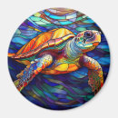 Search for sea turtle magnets Hawaii