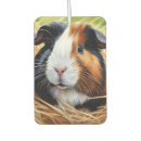 Search for pig car air fresheners Pet