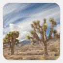 Search for joshua tree stickers Usa