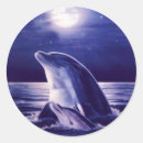 Search for baby dolphin stickers Wildlife