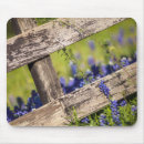 Search for farm electronics Floral