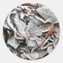 Search for winter frost stickers Ice