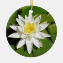 Search for lotus christmas tree decorations Floral