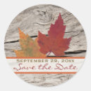 Search for maple wood stickers Rustic