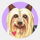Search for silky stickers Australian silky terrier