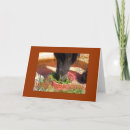 Search for horses thanksgiving cards Animal