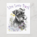 Search for schnauzer postcards Cute