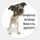 Search for breed rescue stickers Animal