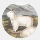 Search for mammals stickers Goat