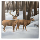 Search for whitetail deer tiles Forest